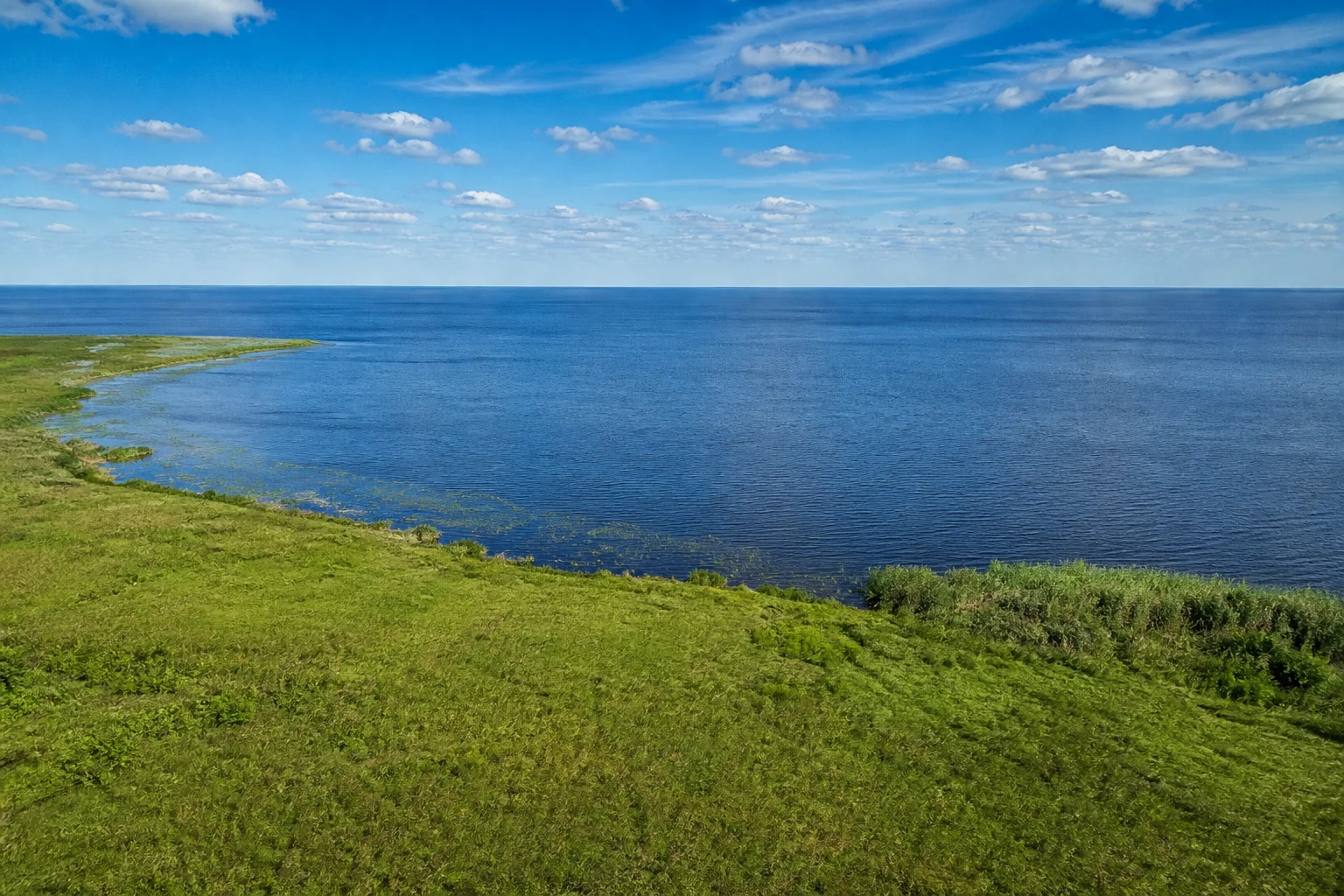 Lake Okeechobee shoreline in Okeechobee County, Florida