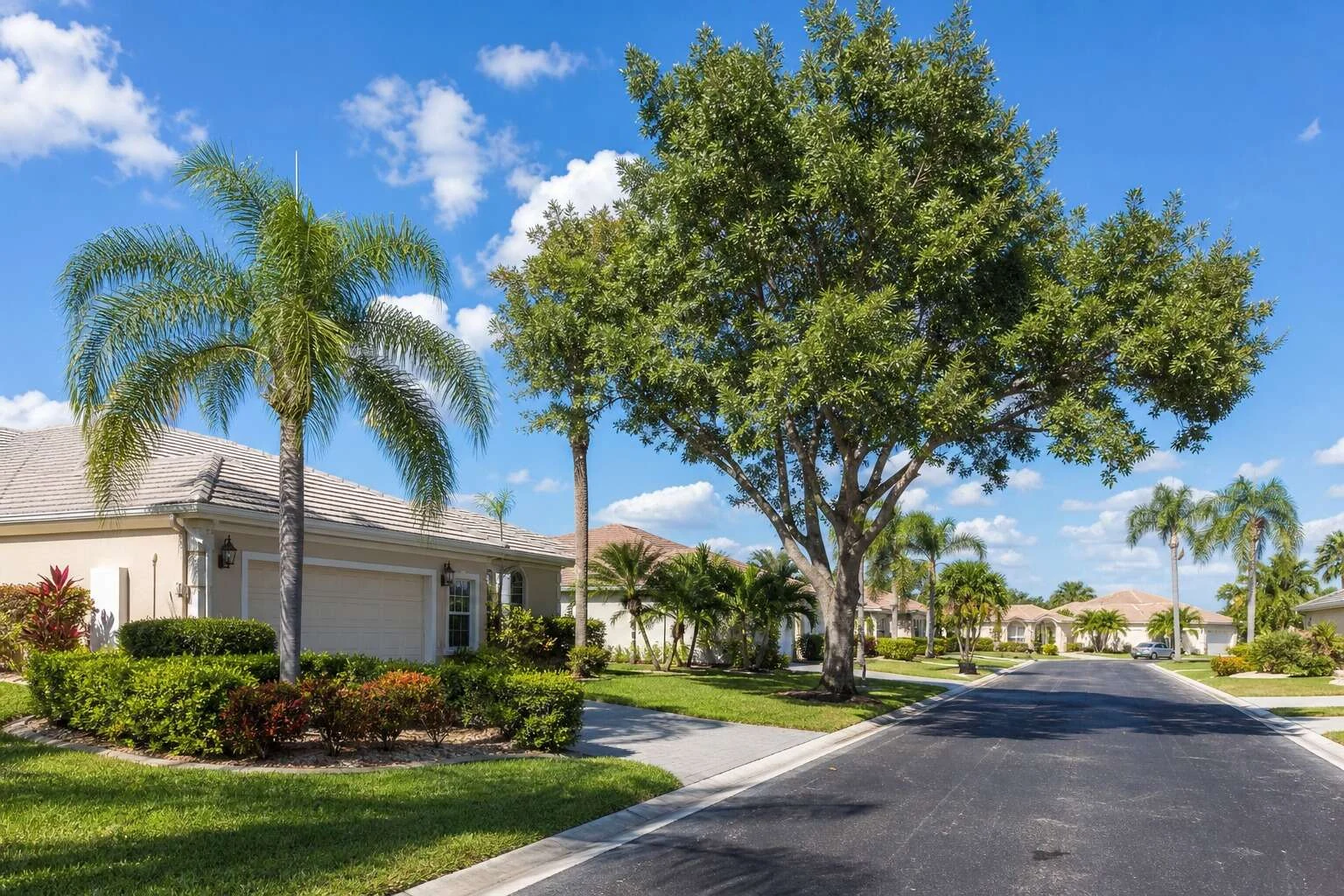 Palm-lined residential neighborhood in Greenacres, Florida